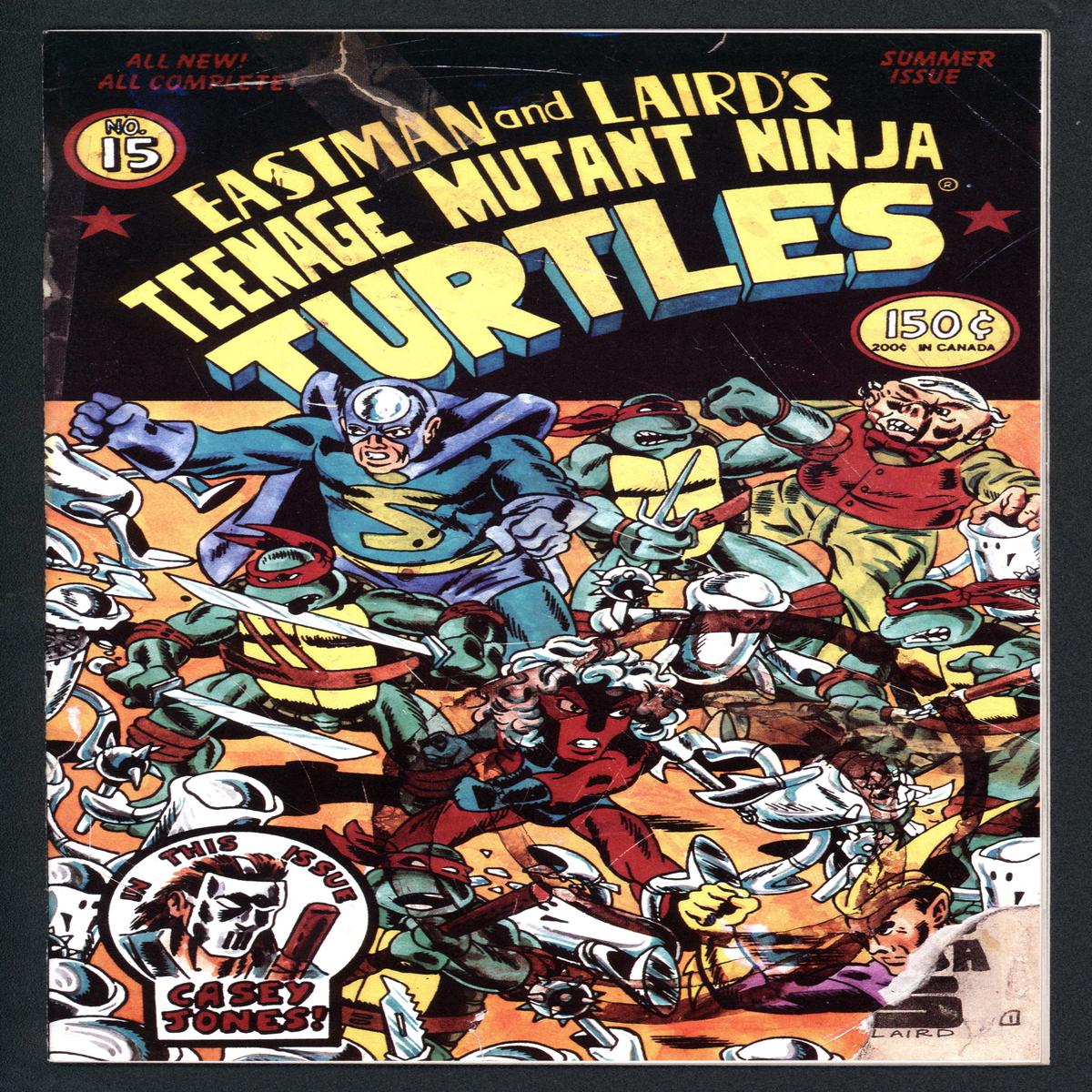 Teenage Mutant Ninja Turtles (1984 1st Series Mirage) # 15 Raw